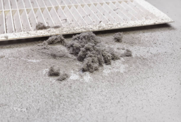 Best Home Air Vent Cleaning  in Monticello, IL
